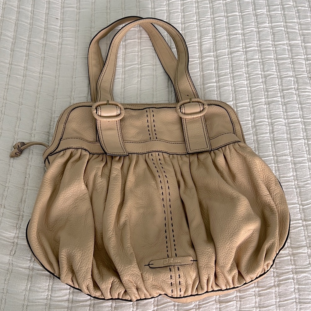 Cole Haan hand bag.